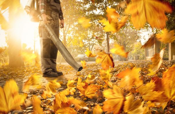 Cost of Leaf Blowing Service in Olympia