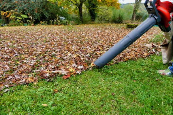 Cost of Leaf Vacuuming Service in Olympia