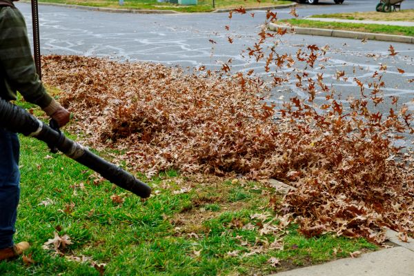 Cost of Garden Leaf Removal in Olympia