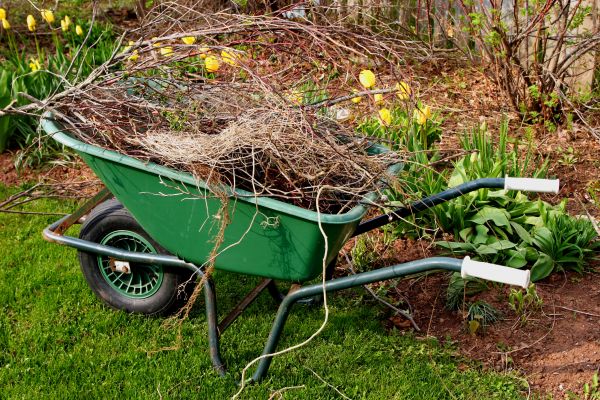 Cost of Lawn Waste Removal in Olympia