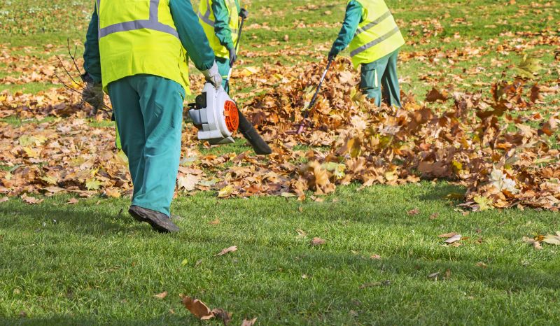 Team Performing Leaf Clearing